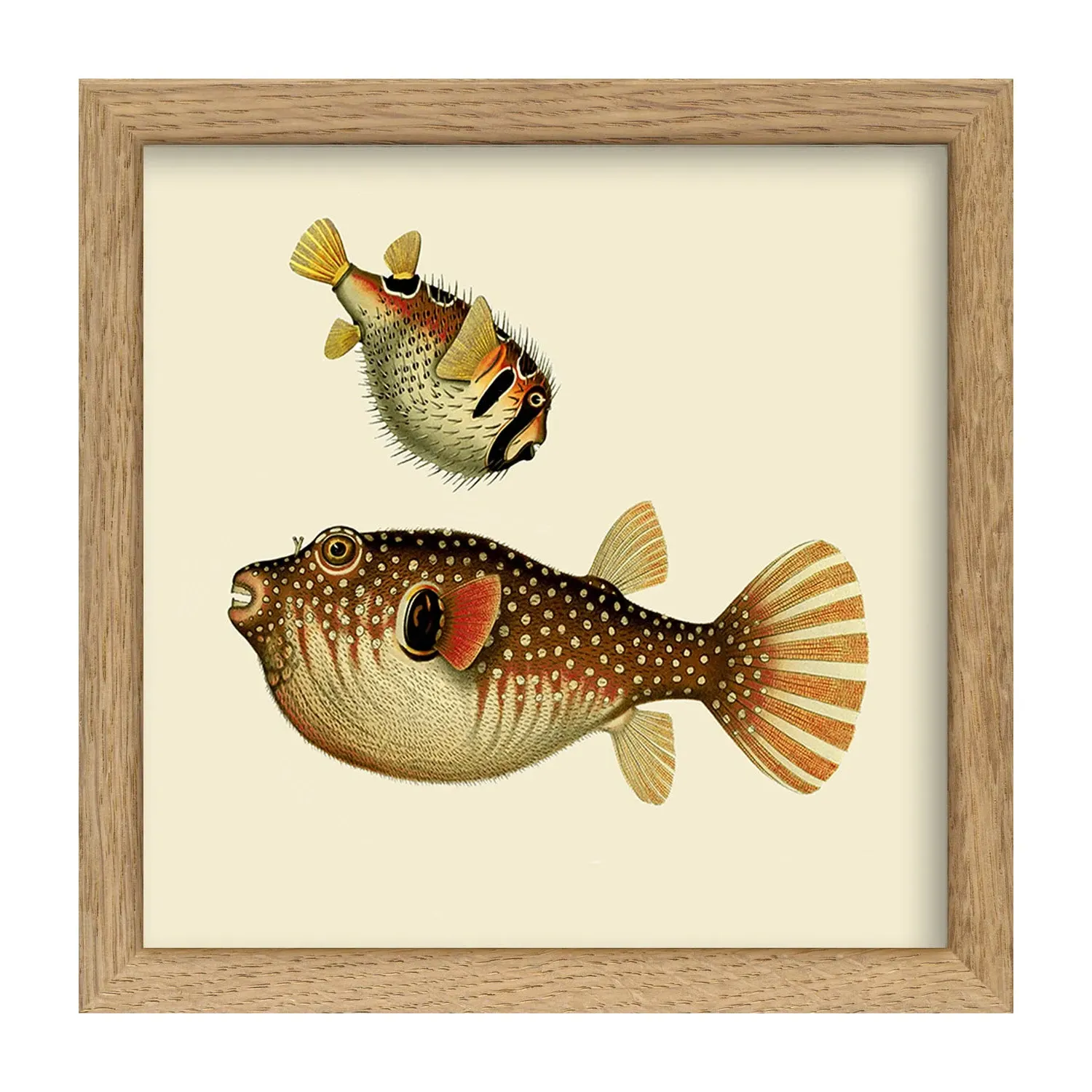 Two Fishes Square Mini Print with Oak Frame image
