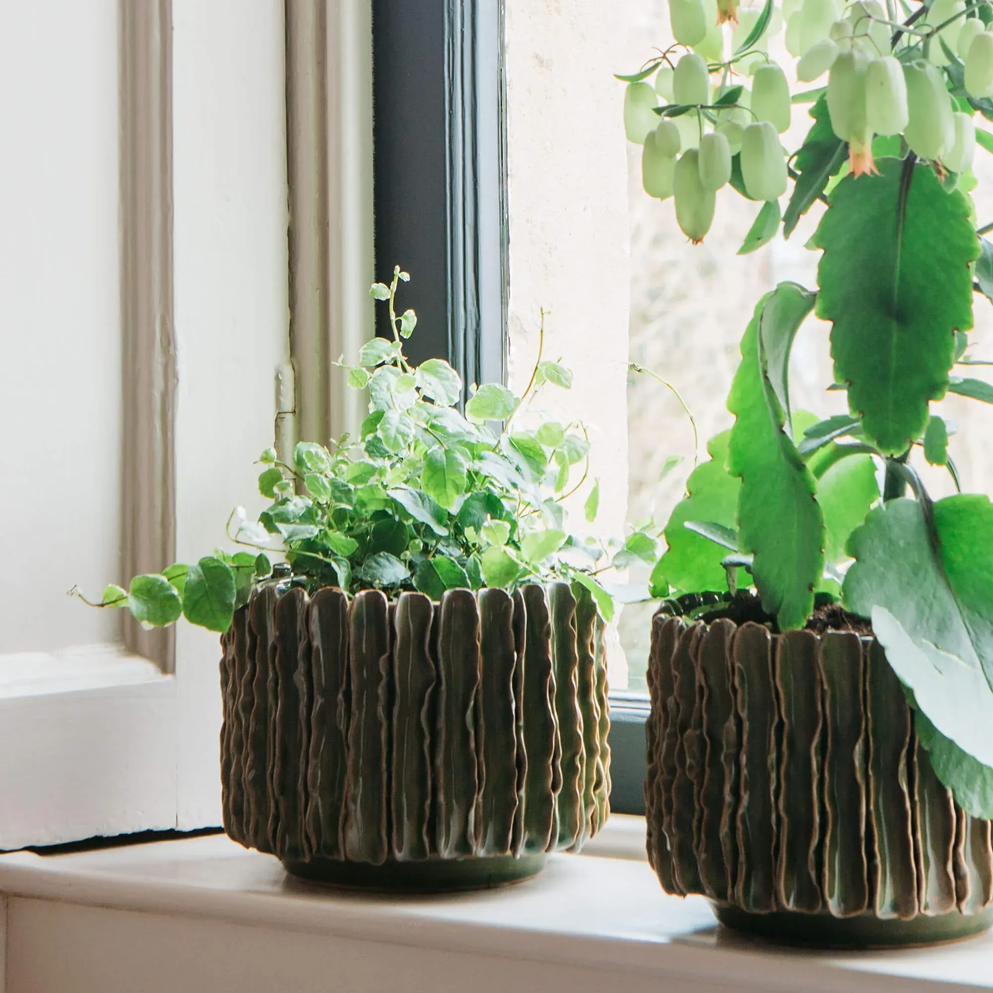 Wavy Ceramic Plant Pot - Green image