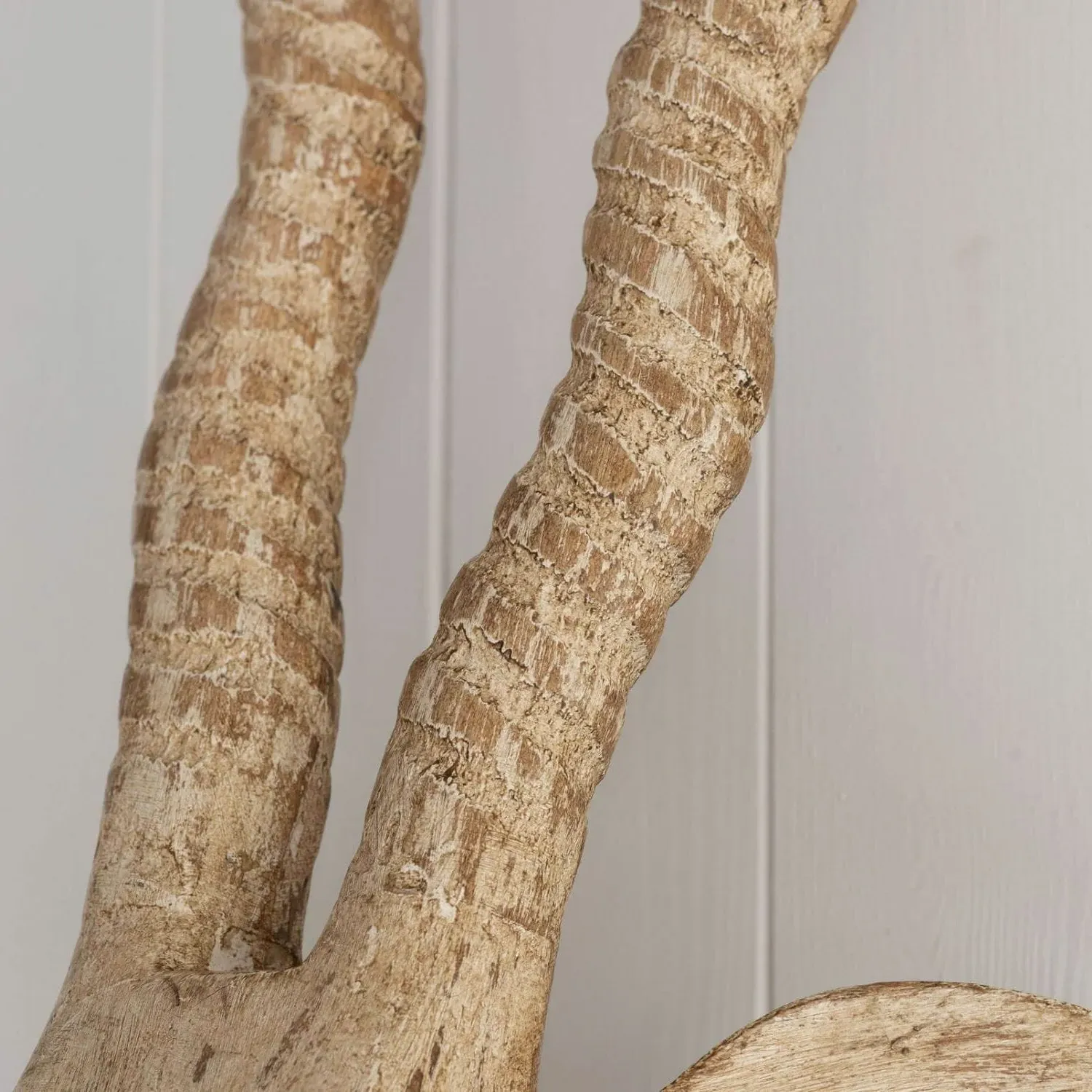 Wooden Gazelle Head Wall Mount - White