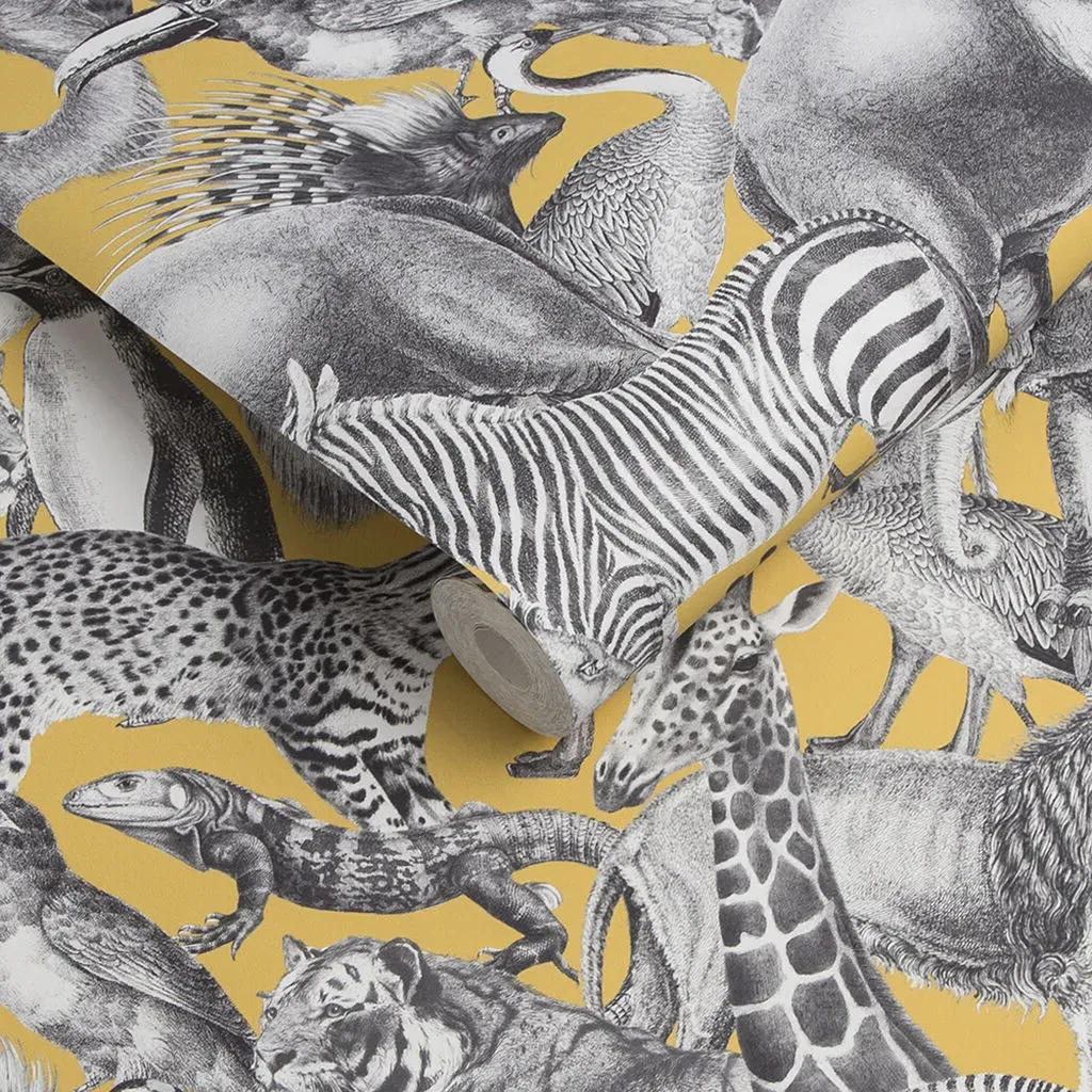 Kingdom Lion Wallpaper - Yellow