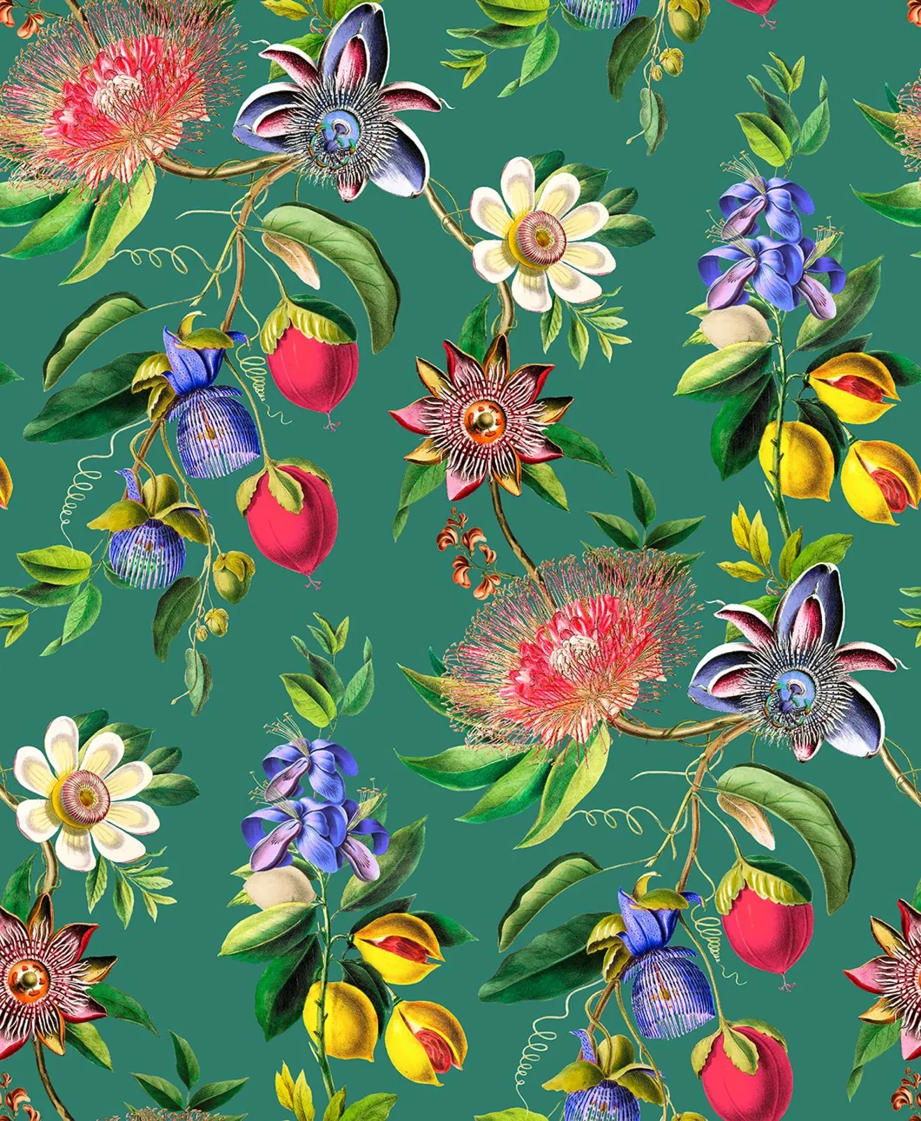 Physic Garden Botanical Wallpaper - Teal