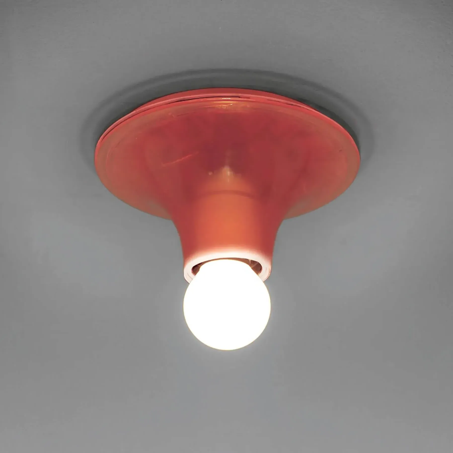 Wall Ceiling Light with Diffuser - Clear, Resin