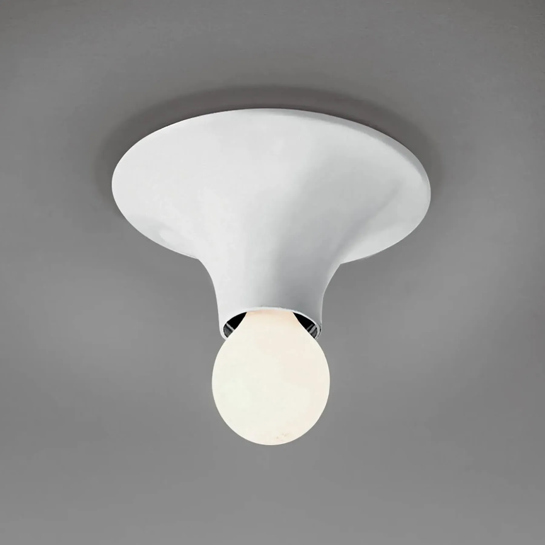 Wall Ceiling Light with Diffuser - White, Resin