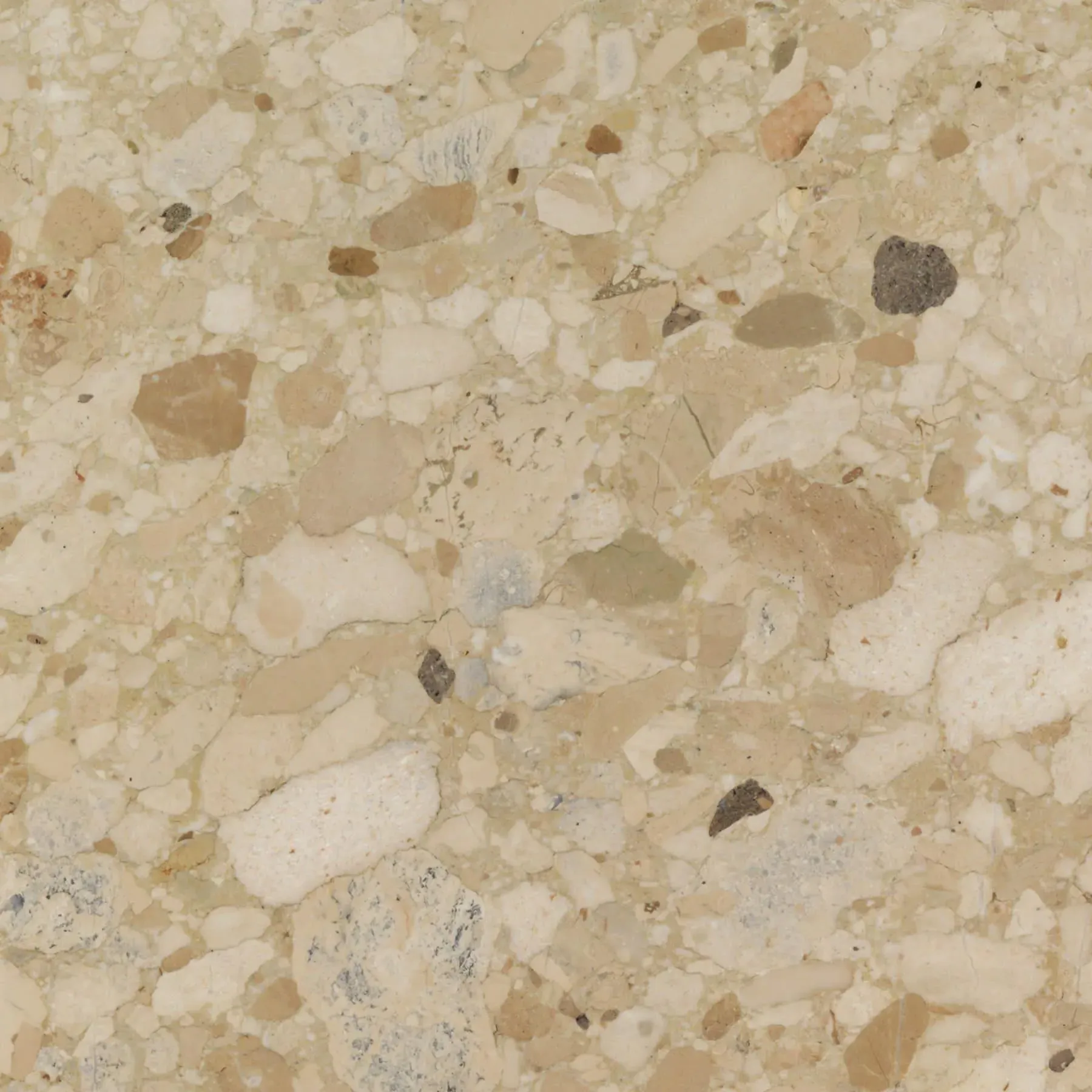 Androgyne Round Side Table - Kunis Breccia Stone, Walnut