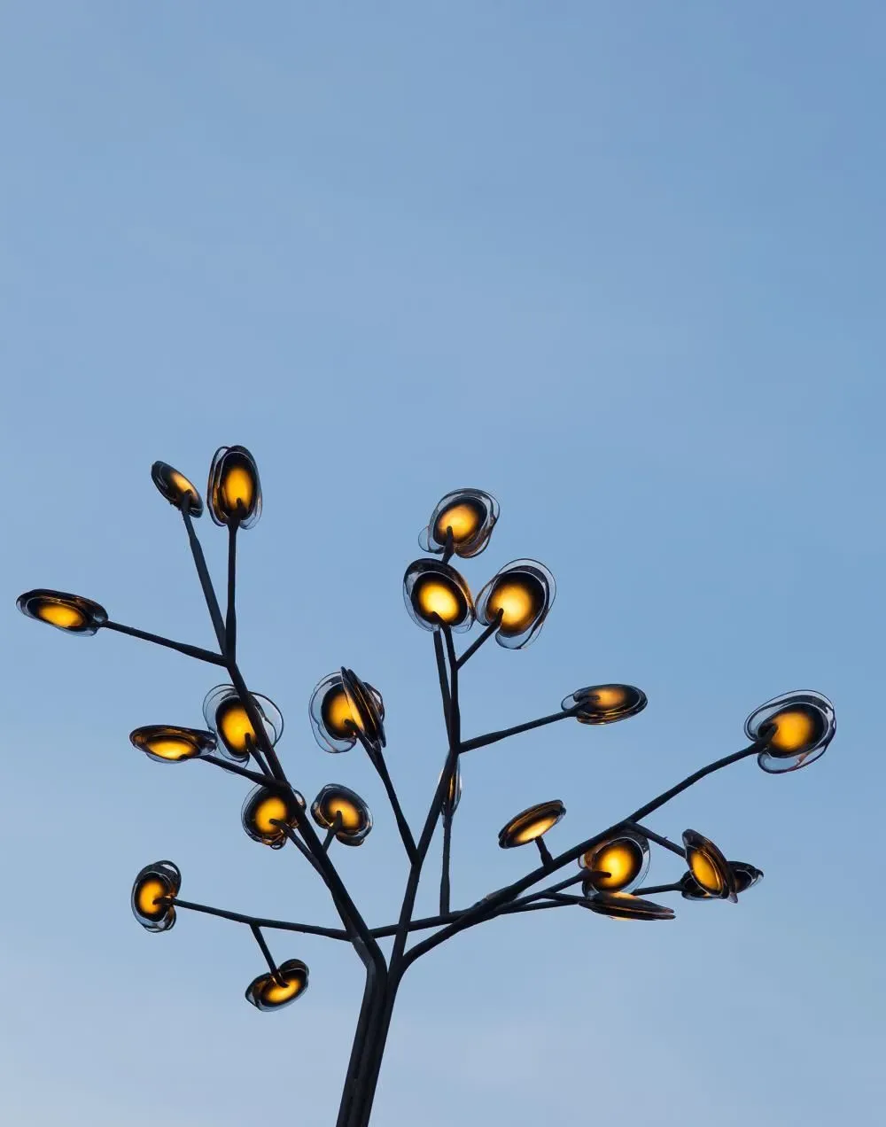 Series 16 Tree 35 Pendant Light - Aspen