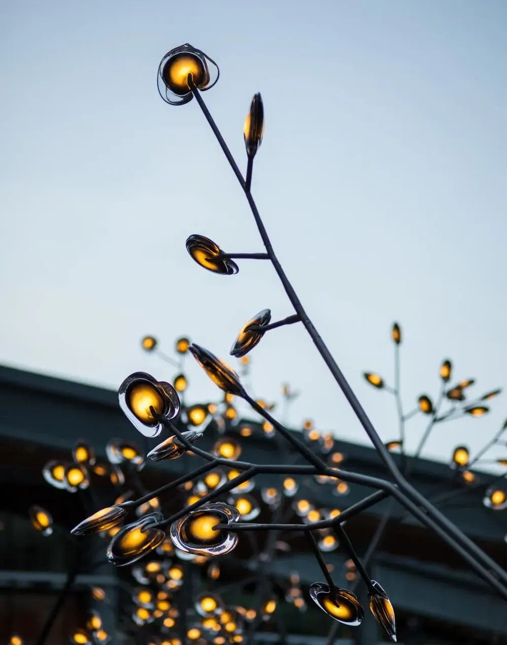 Series 16 Tree 35 Pendant Light - Aspen