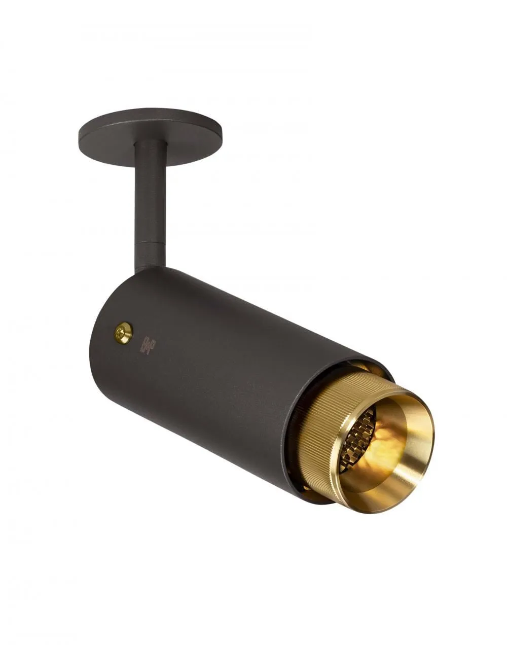 Adjustable Ceiling Spotlight - Graphite, Metal