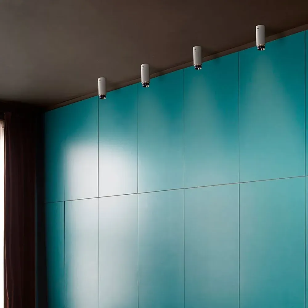 Surface Spotlight with Baffle - Graphite, Metal