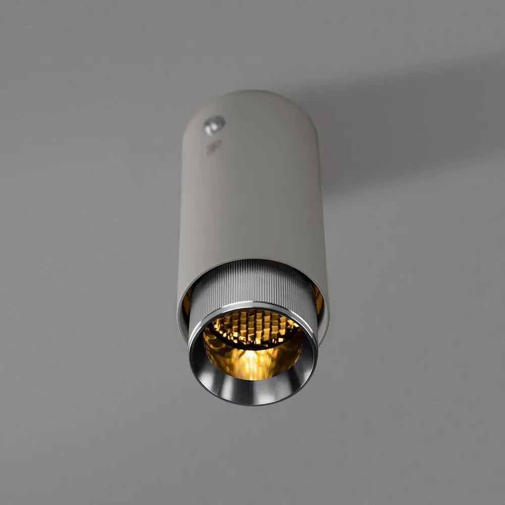 Surface Spotlight with Baffle - Graphite, Metal