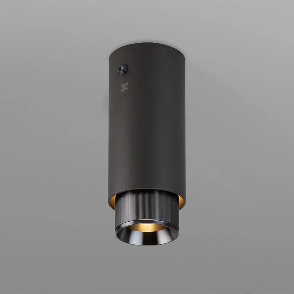 Surface Spotlight with Baffle - Graphite, Metal