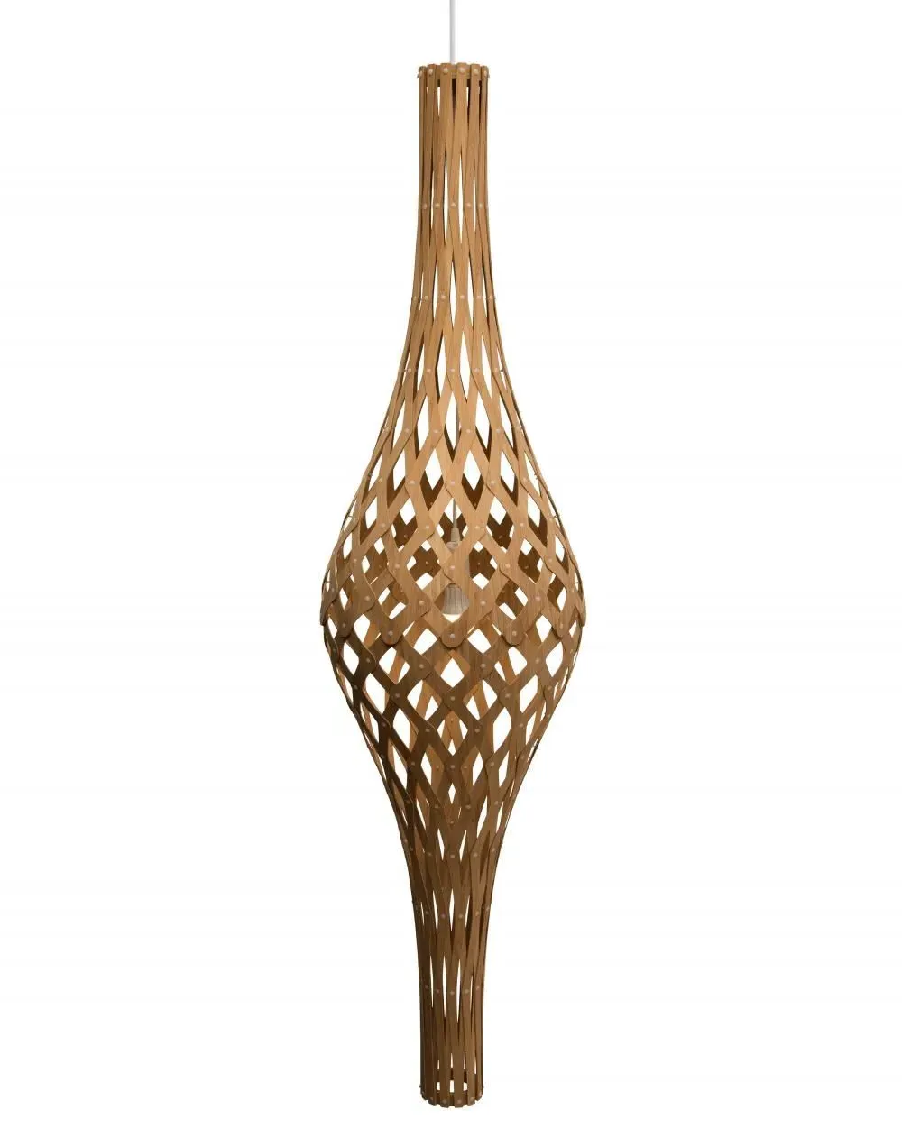 Pendant Light with Palm Leaf Design image