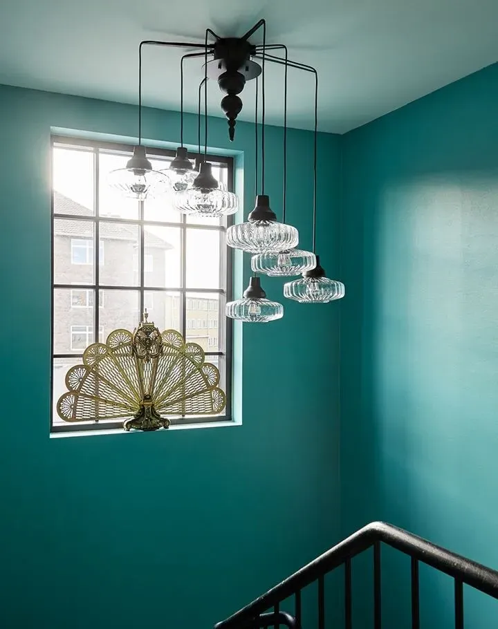 New Wave Optic Pendant Light - Smoke, Glass