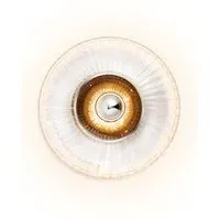 New Wave Optic Wall Light - Clear, Glass