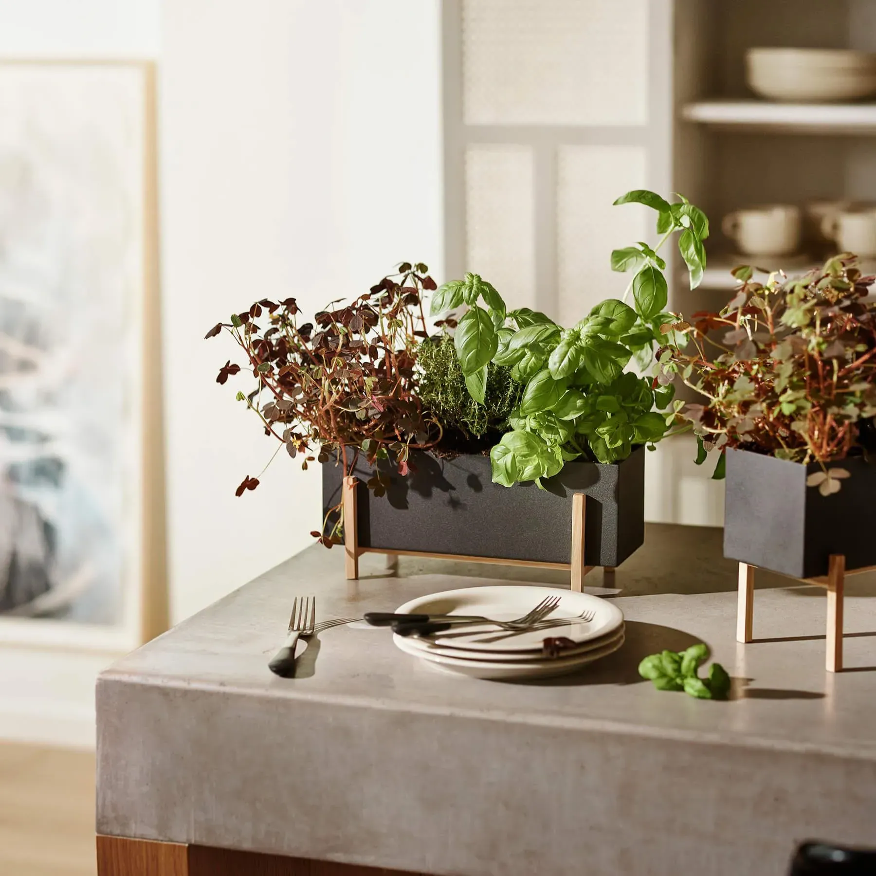 Herb Box Planter - Wood, Metal