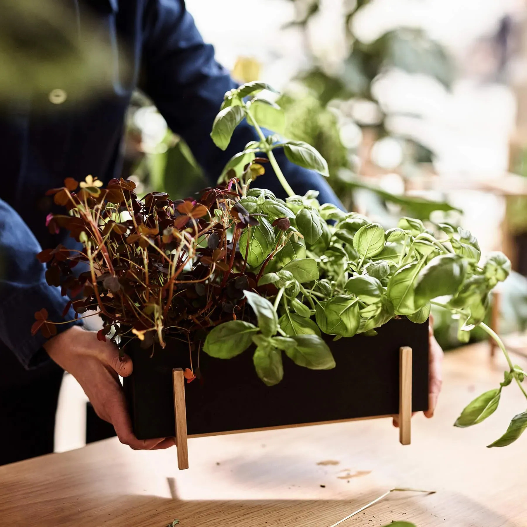 Herb Box Planter - Wood, Metal