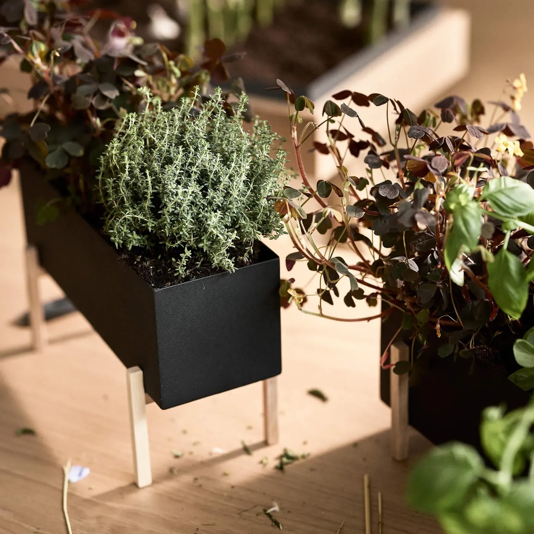 Herb Box Planter - Wood, Metal