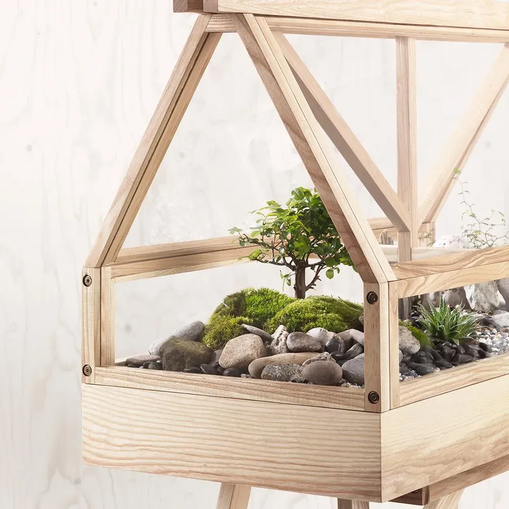 Indoor Greenhouse Planter - Ash Wood