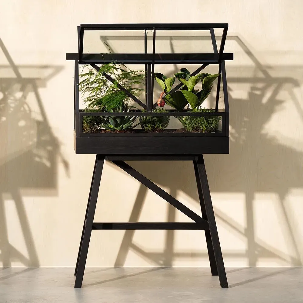Indoor Greenhouse Planter - Ash Wood