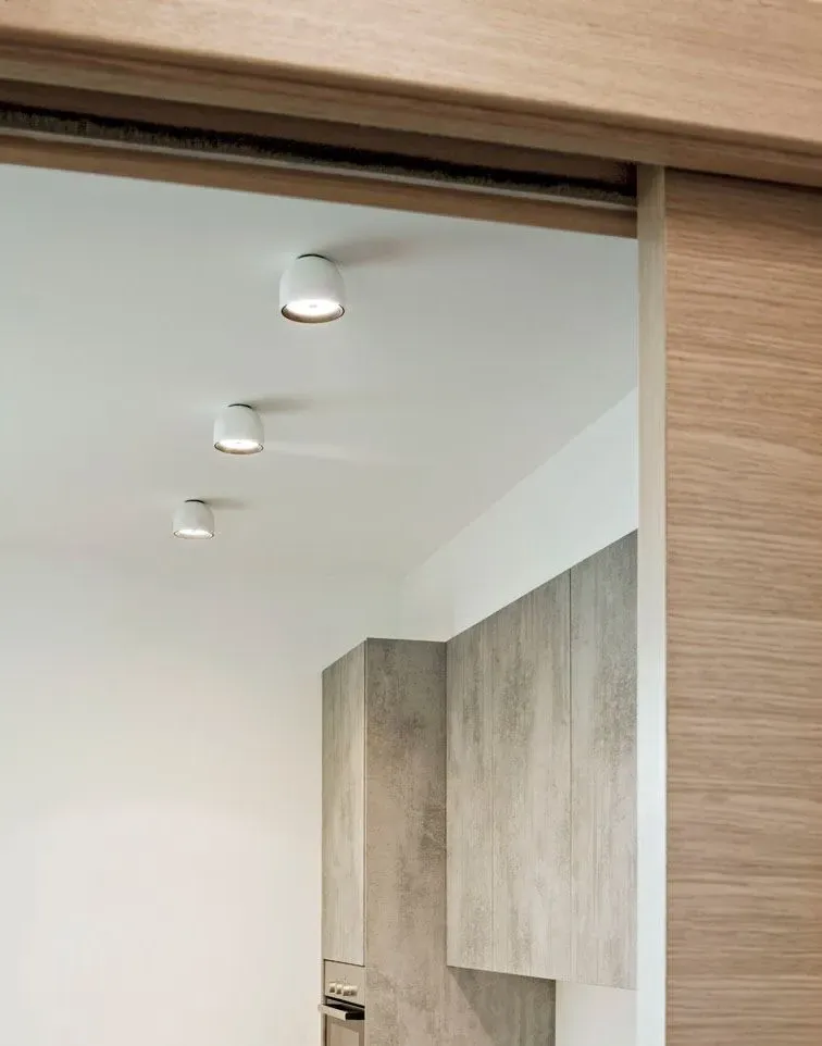 Flush Ceiling Light - Black, Aluminium