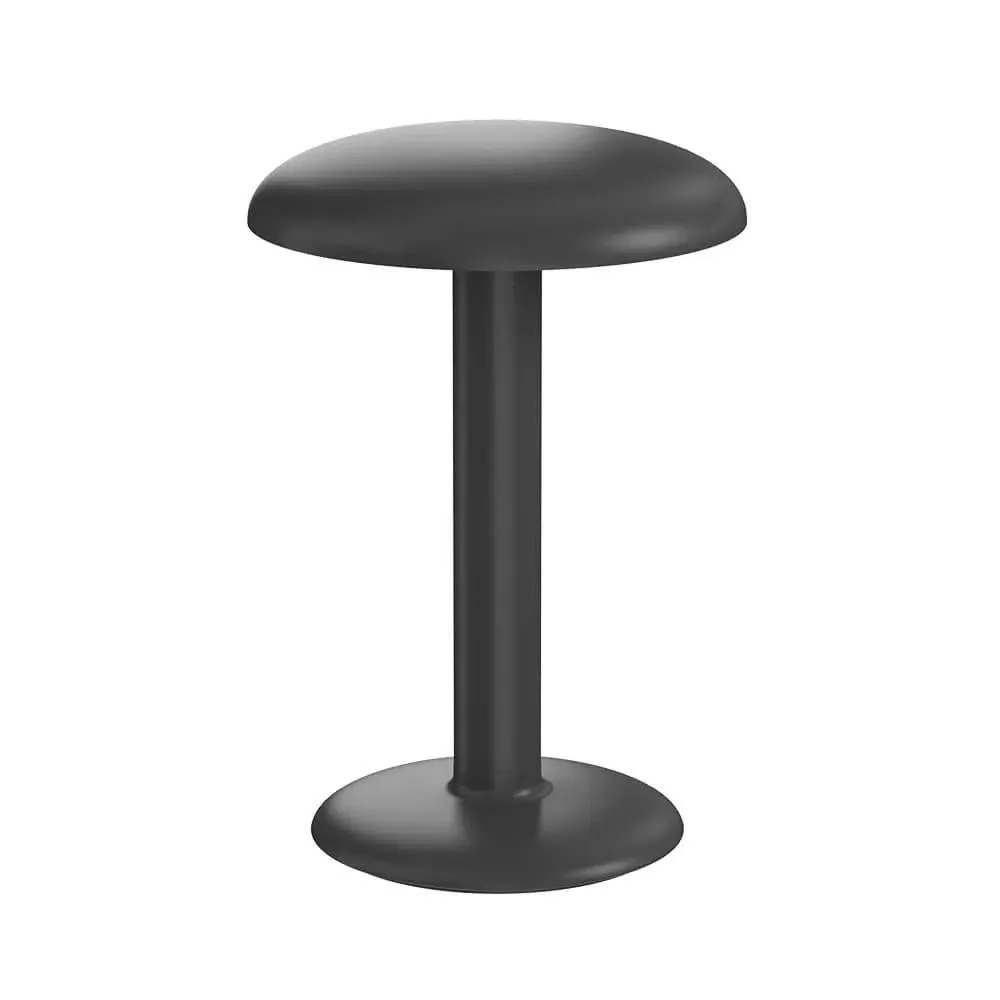 Portable Rechargeable Lamp - Brown, Lacquered