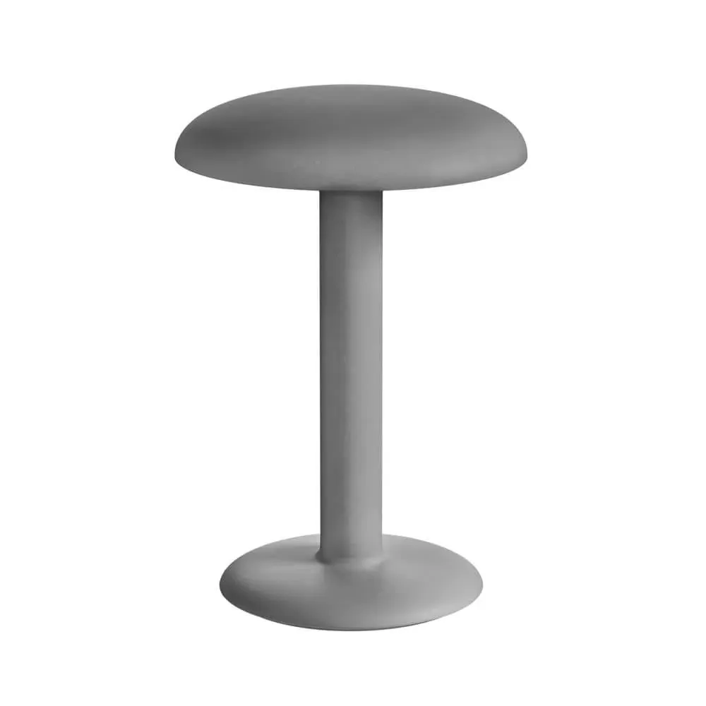 Portable Rechargeable Lamp - Raw Aluminium