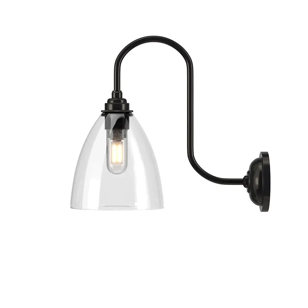 Large Swan Neck Wall Light - Brass, Clear Glass