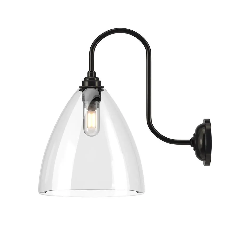 Large Swan Neck Wall Light - Bronze, Clear Glass