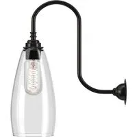 Upton Swan Neck Medium Wall Light - Bronze, Clear Glass