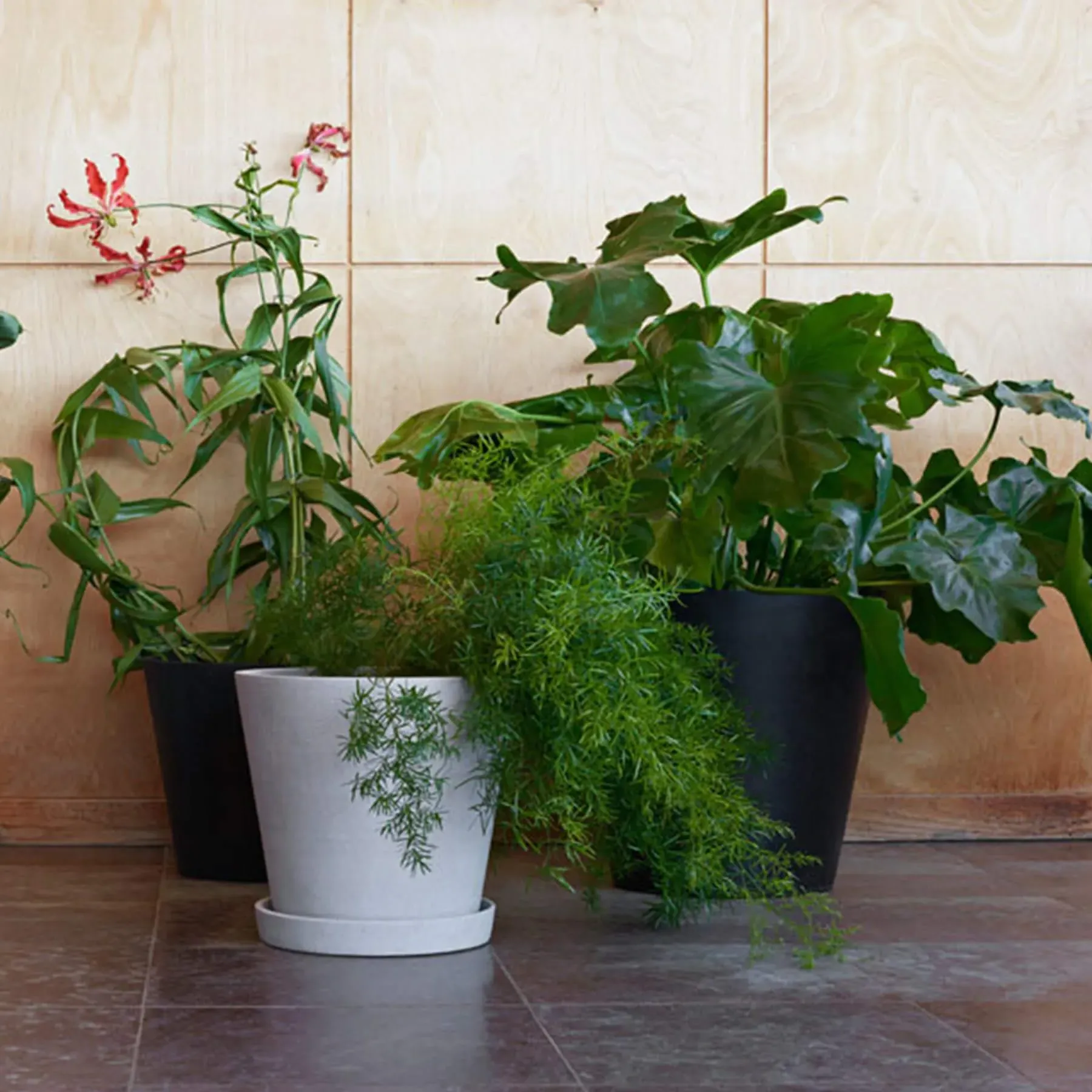 Large Flower Pot with Saucer - Black, Polystone