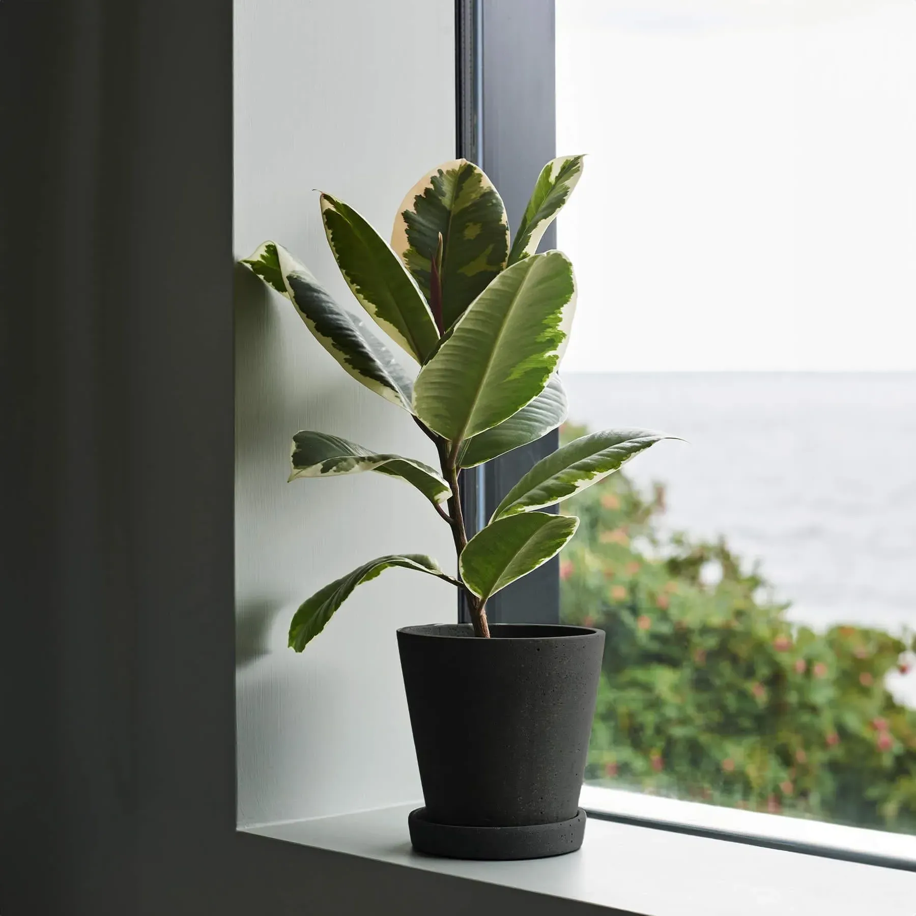 Large Flower Pot with Saucer - Grey, Polystone