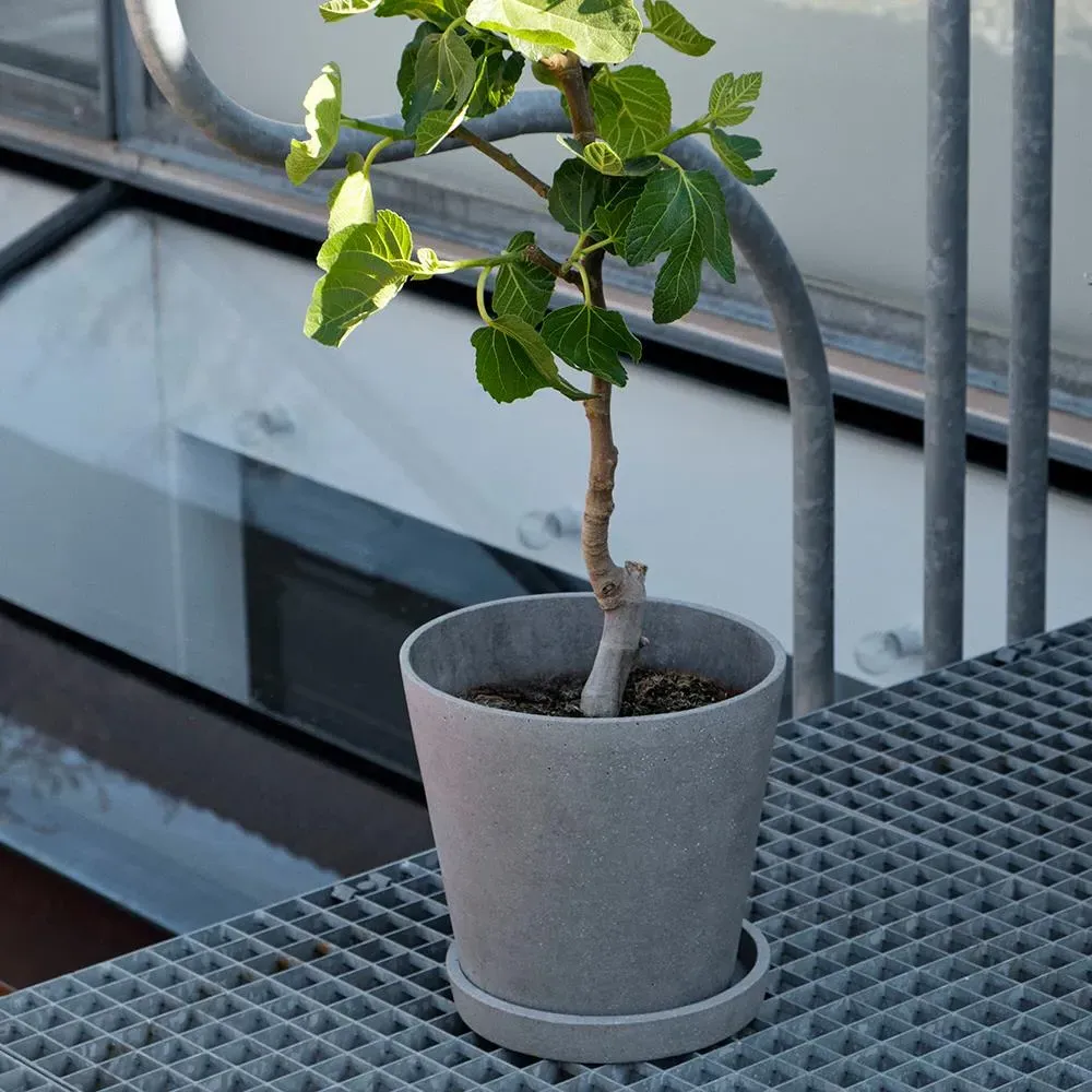 XL Planter with Saucer - Grey, Polystone