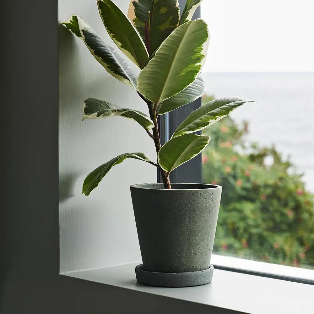 XL Planter with Saucer - Grey, Polystone