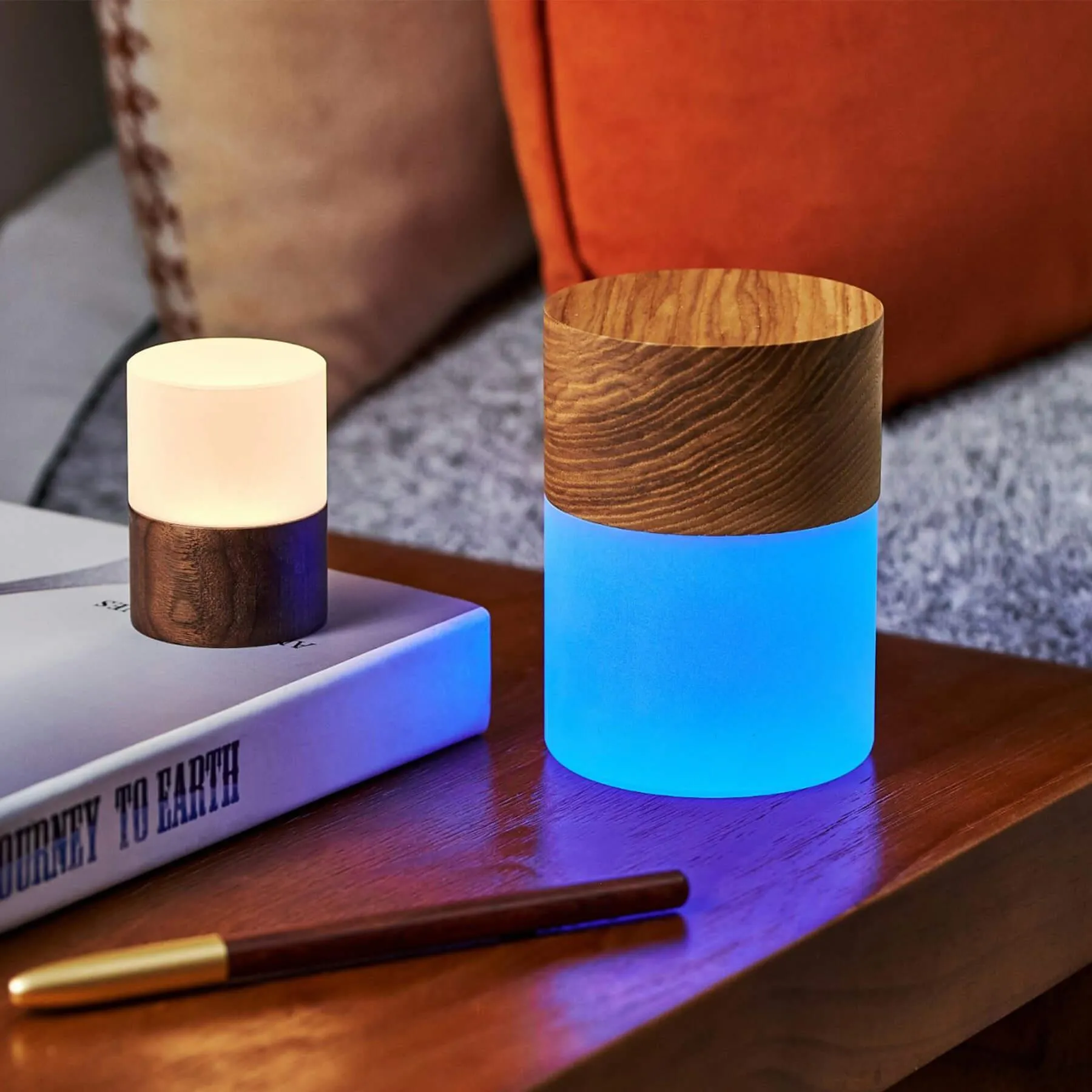 Gingko Lemelia Mini Desk Lamp - White Ash, Frosted Glass