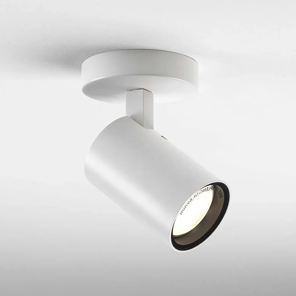 Single Wall Ceiling Spot Light - White image