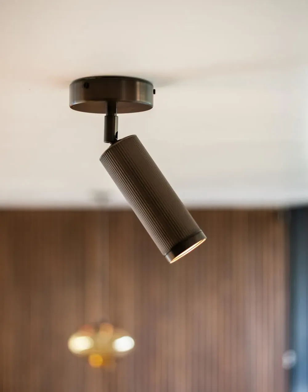 Single Spot Ceiling Light - Bronze, Brass