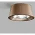 Small Flush Ceiling Light with Frame - Rose Gold