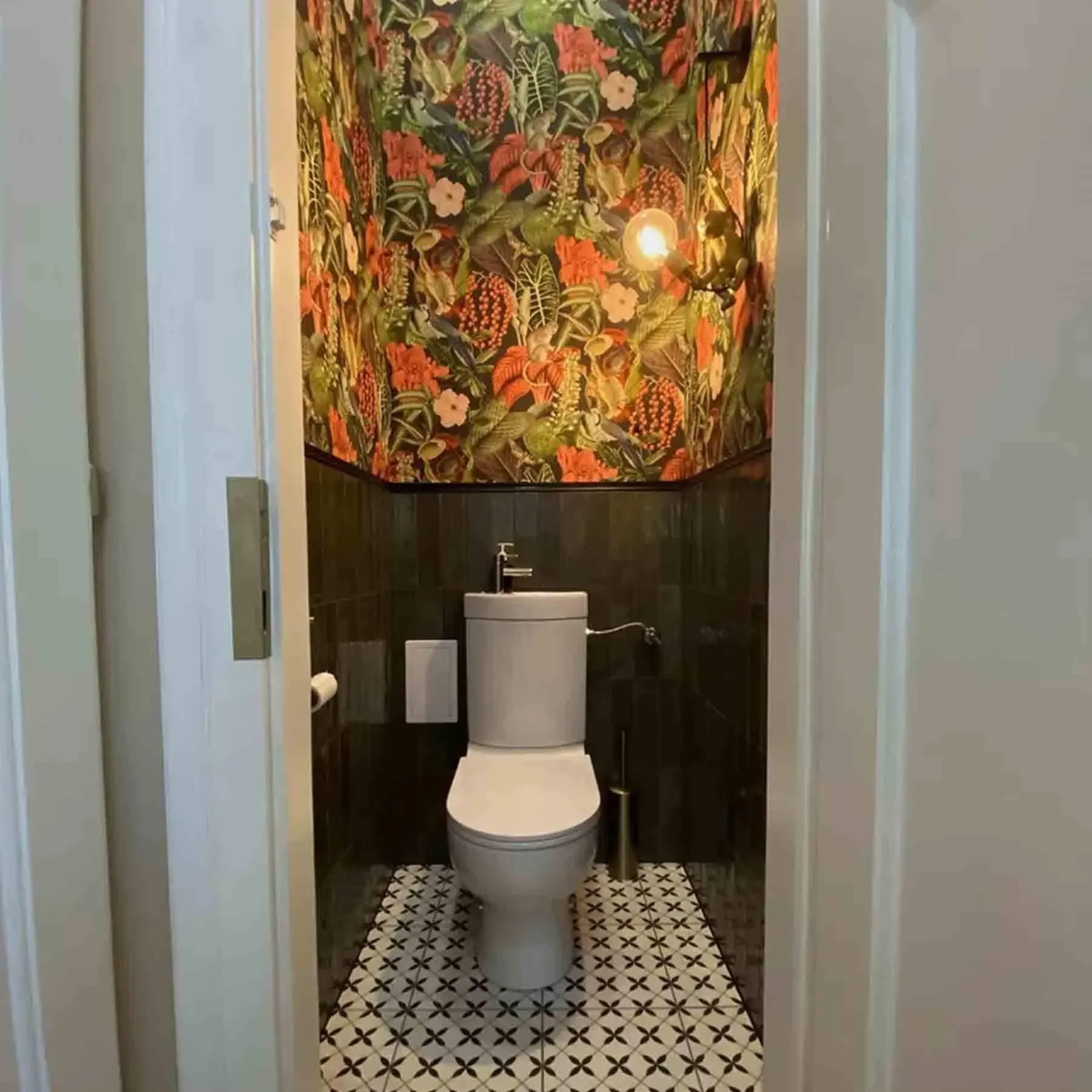 Chimp Wall Light with Dimmer - Synthetic