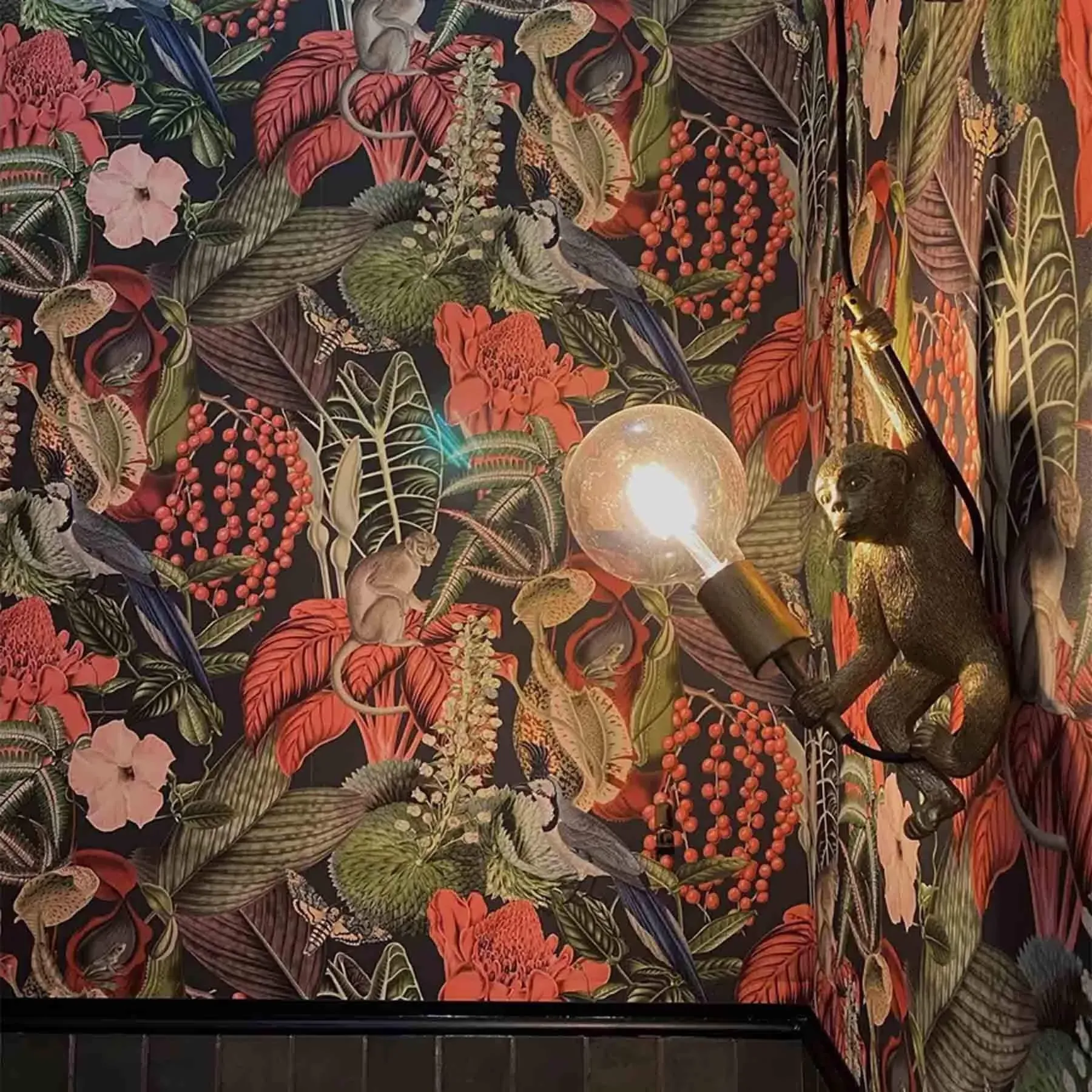 Chimp Wall Light with Dimmer - Synthetic