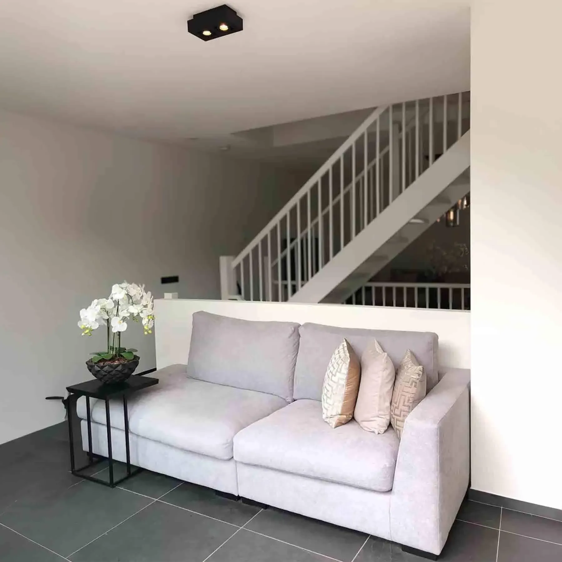 Dual LED Wall Light with Adjustable Spots - Black