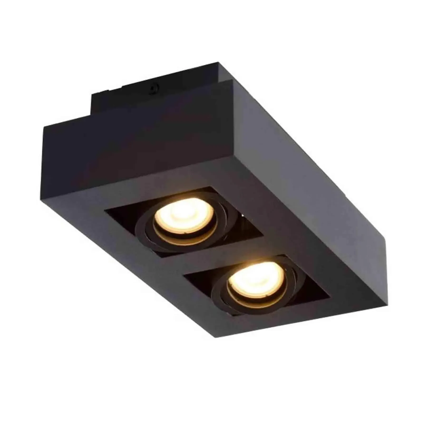 Dual LED Wall Light with Adjustable Spots - Black