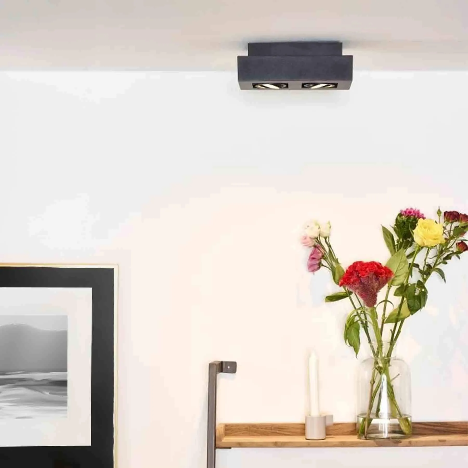 Dual LED Wall Light with Adjustable Spots - Black