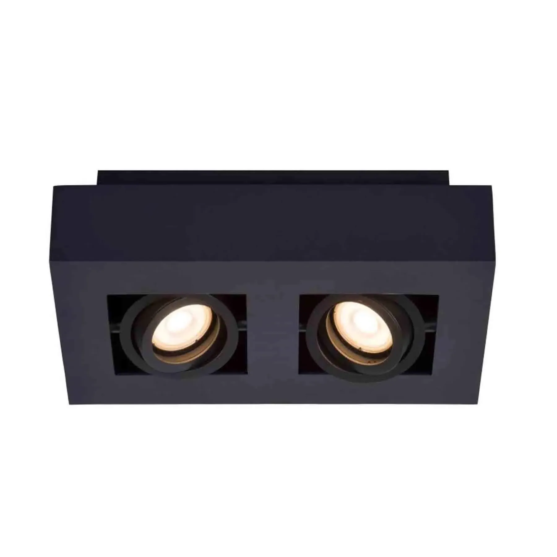 Dual LED Wall Light with Adjustable Spots - Black