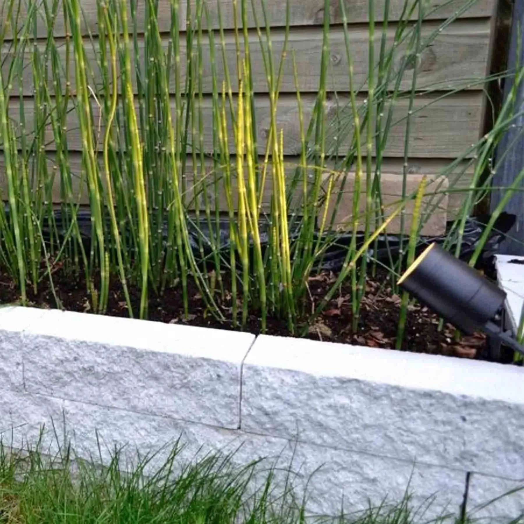 LED Outdoor Bollard Light with 5W Bulb - Black