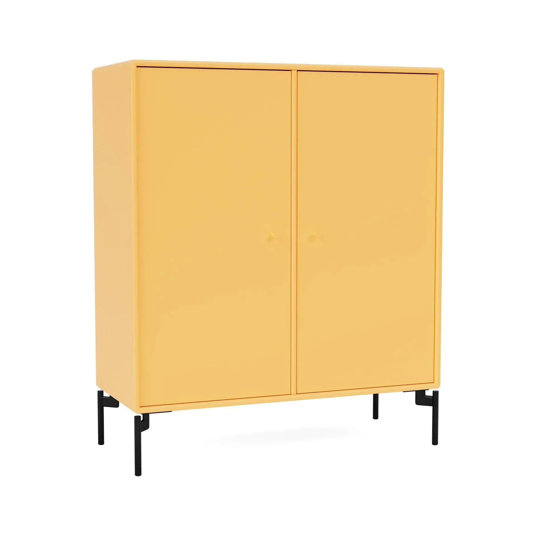Storage Cabinet with Doors - Acacia image