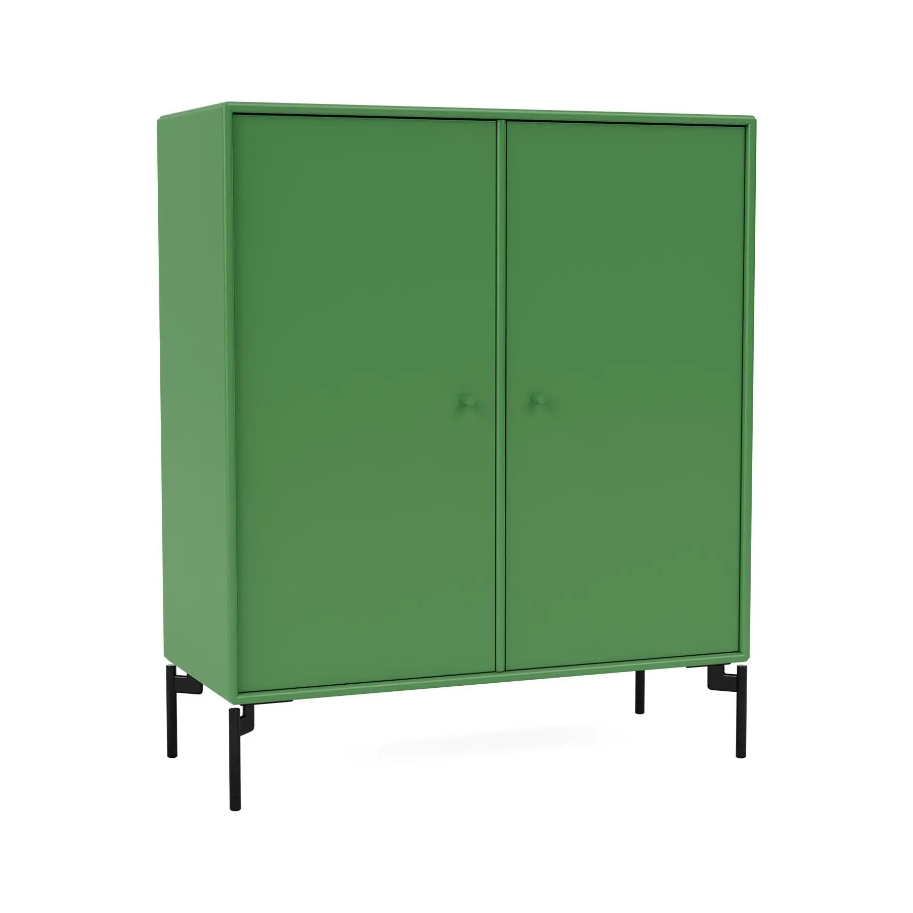 Storage Cabinet with Doors - Flint