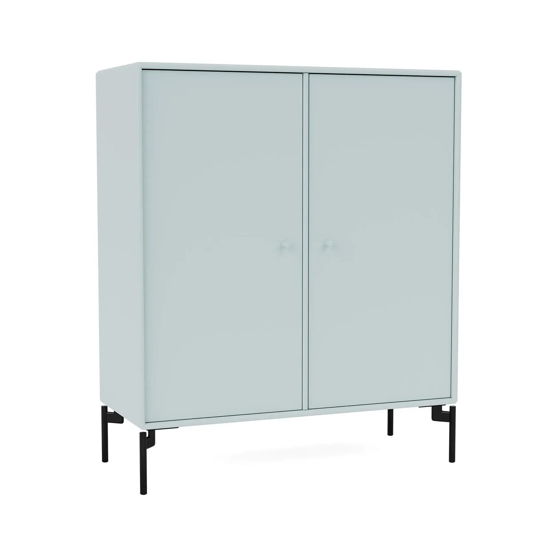 Storage Cabinet with Doors - Flint