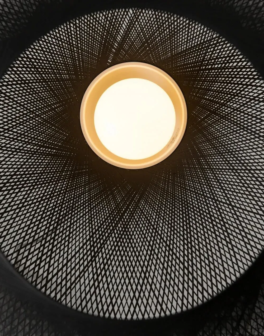 Small Pendant Light with Reflector - Black, Resin