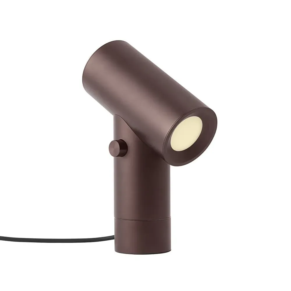 Desk Lamp with Dual Light - Aluminium