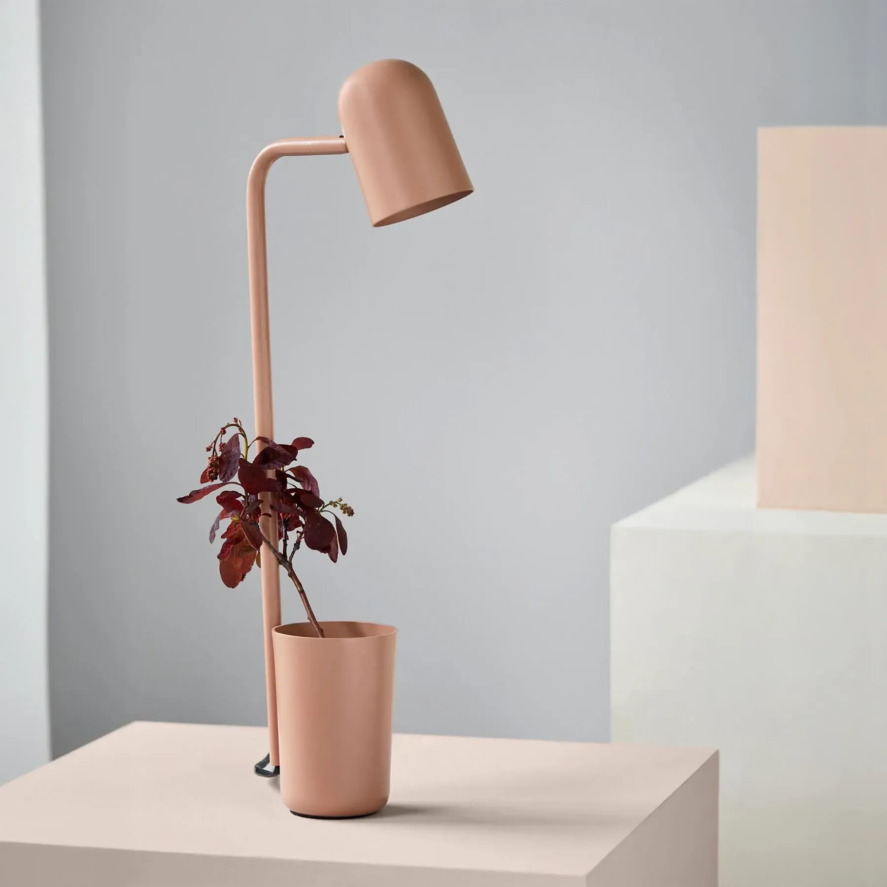 Buddy Desk Lamp with Storage - Black