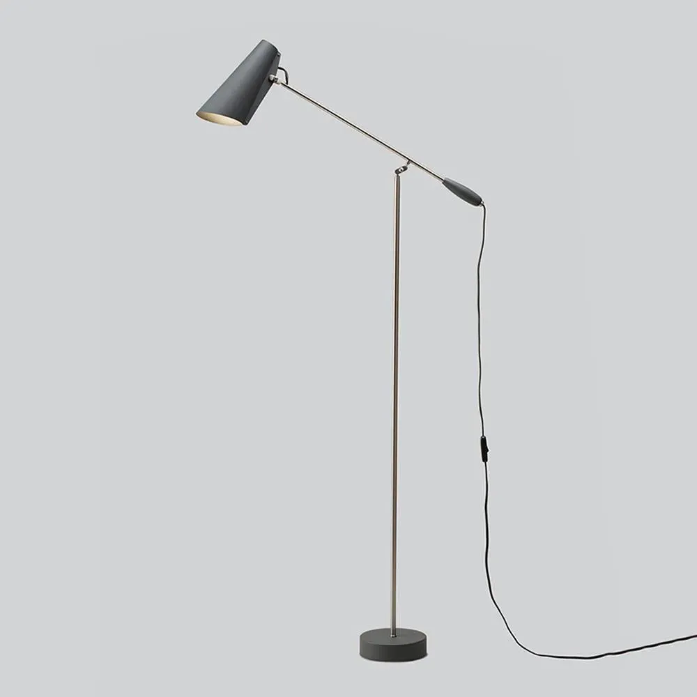 Floor Lamp with Adjustable Head - Black, Steel